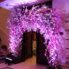 Weddings (39/163)