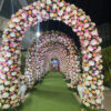 Wedding at KingsCourt (66/210)