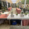 Wedding at KingsCourt (121/210)