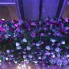 Wedding at KingsCourt (186/210)